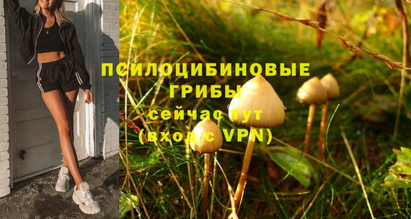 гидра Бородино