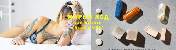 гидра Бородино
