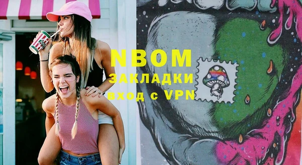 гидра Бородино