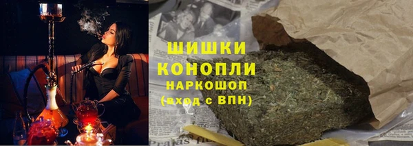 гидра Бородино