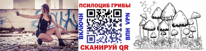 купить цена Севастополь Галлюциногенные грибы MAGIC MUSHROOMS
