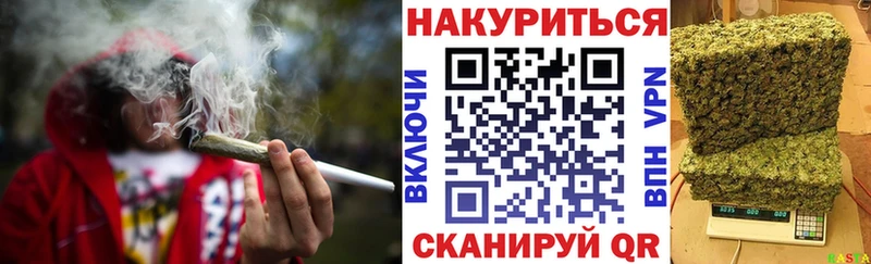 наркотики  Севастополь  Канабис план 